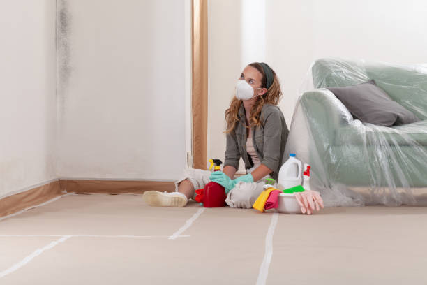 Reliable Mold Remediation contractor in Streamwood, IL by WQB Mold Removal